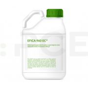 adama erbicid efica 960 ec 5 litri - 1