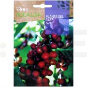 rocalba seminte arbore de cafea 4 seminte - 2