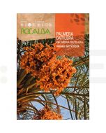 rocalba seminte palmier curmal 6  - 1