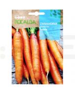 rocalba seminte morcov touchon 10 g - 1