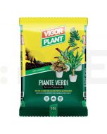 vigorplant substrat profesional plante verzi 10 litr - 1
